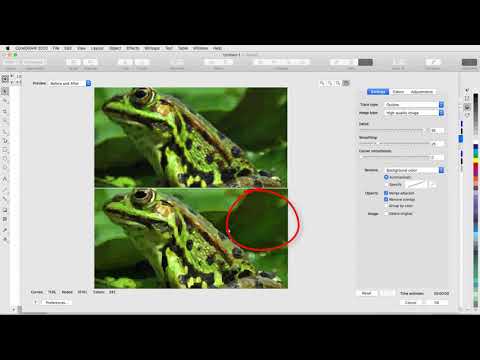 CorelDraw: Bitmap zu Vektor umwandeln