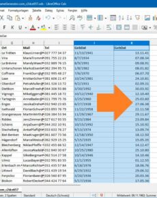 Excel: US-Datum mit Schrägstrich ins europäische Format umwandeln