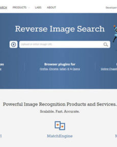 TinEye – Suchmaschine für Bilder im Web