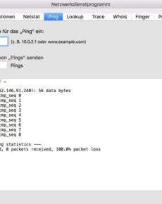 Ping-Test am Mac für die Netzverbindung