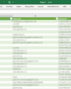 Gespeicherte Passwörter exportieren aus Firefox, Chrome und Edge