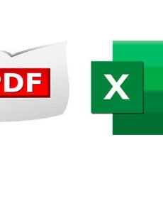Daten aus einem PDF in Excel übernehmen
