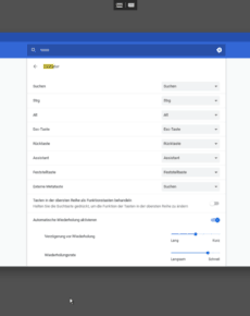 Chromebooks Schnelltasten in Funktionstasten umwandeln