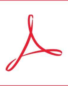 Acrobat Pro – langsam durch Lesevorgang des Dokuments