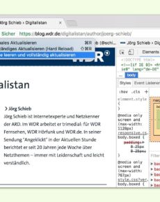 Google Chrome: Cache für einzelne Seite löschen