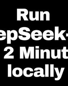 DeepSeek lokal installieren