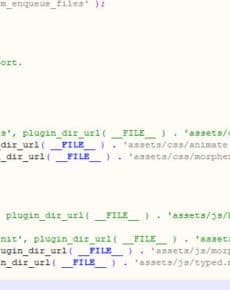 Oxygen: fremde CSS und JS-Dateien in Header und Footer einbauen mit My-Custom-Functionality
