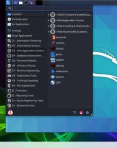 Kali Linux 2020 – das Hacker Linux