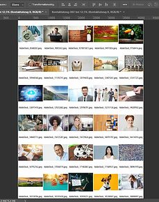 Kontaktabzug / Fotoübersicht mit IrfanView erstellen