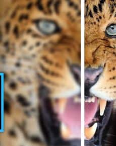 Photoshop Bilder schärfen