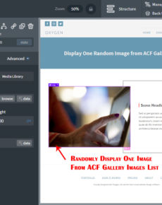 Oxygen: Display one random image from ACF gallery Images in Oxygen Builder