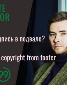 Seraphinite Accelerator | How to remove copyright © information