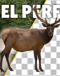 Affinity Photo freistellen