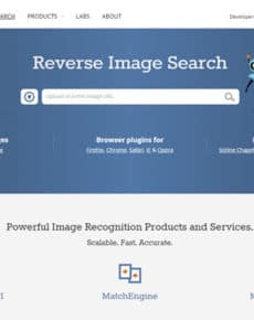 Bildersuche Duplikate – Suchmaschine TinEye