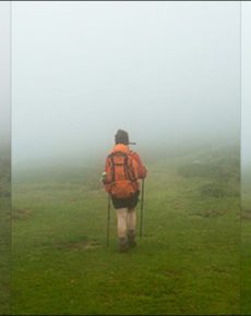 The Difference Between Saturation / Vibrance and Clarity / Texture in Photoshop Lightroom