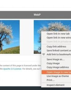 WebP aktivieren und testen