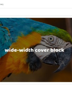 How to Set Wide or Full-width Content Alignment in Gutenberg