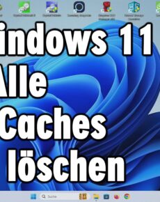 Windows 11 alle Caches löschen – Probleme vorbeugen