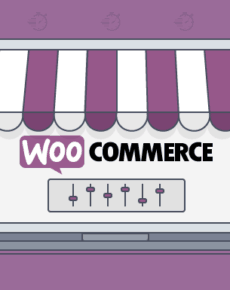 Woocommerce Snippets Backend des Webshops über functions.php Snippets anpassen