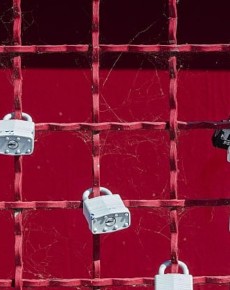 How to Protect WordPress Files & Uploads Folder