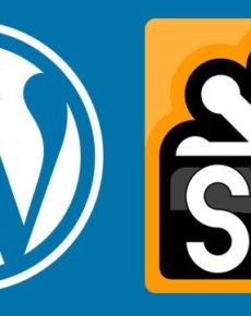 WordPress SVG Upload erlauben