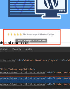 WordPress Plugin Detector