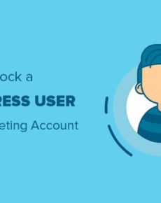 WordPress User Login blockieren