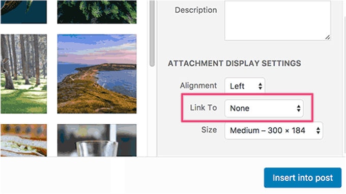 WordPress-Bild nicht verbunden